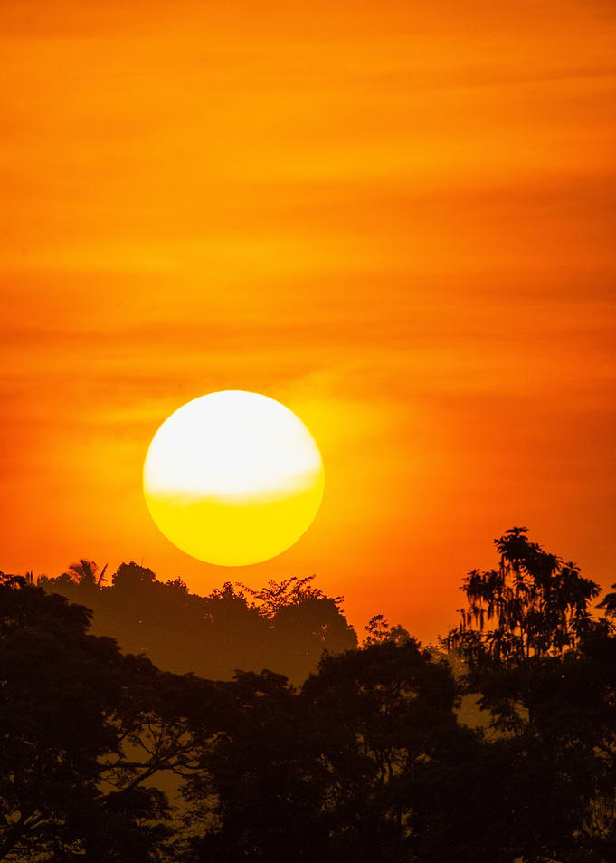 Sunset Over Trees