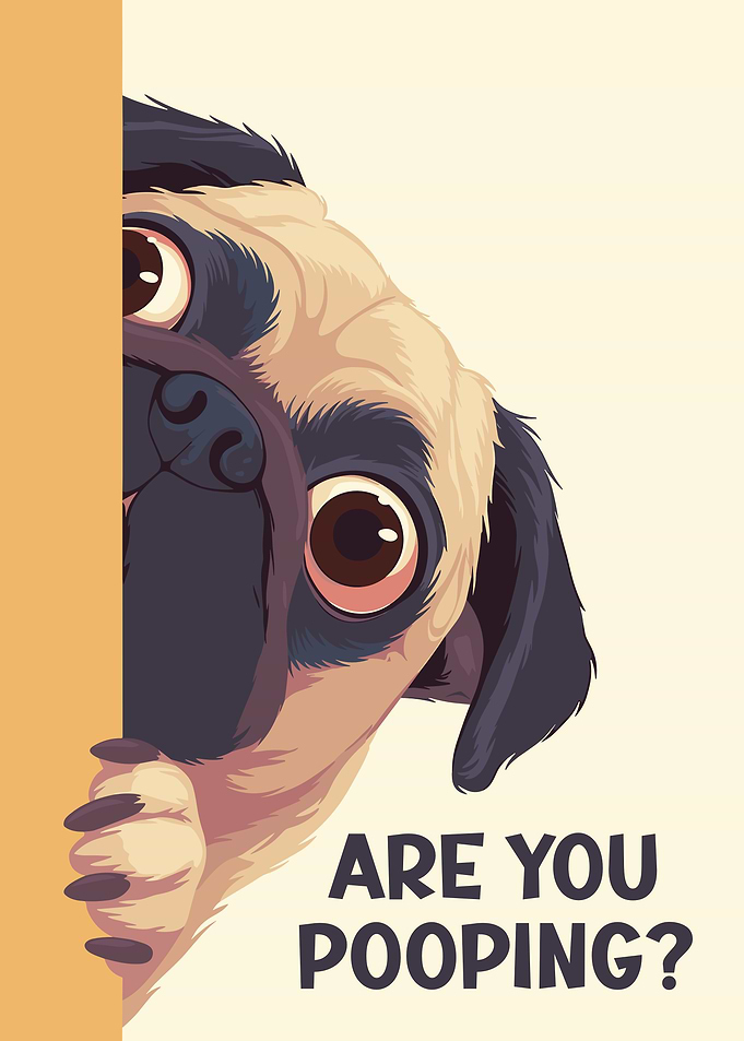 Pug Peeking Are you Pooping