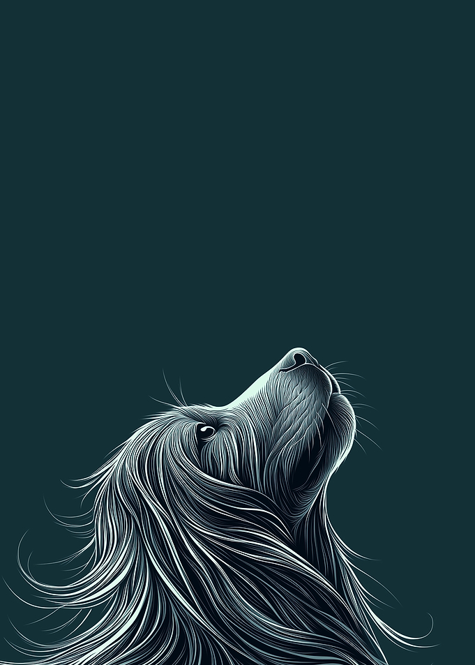 Dog Looking Up