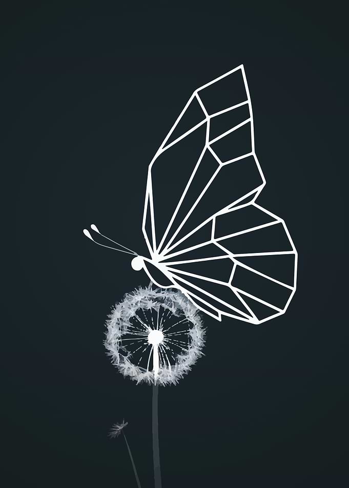 Geometric Butterfly on Dandelion