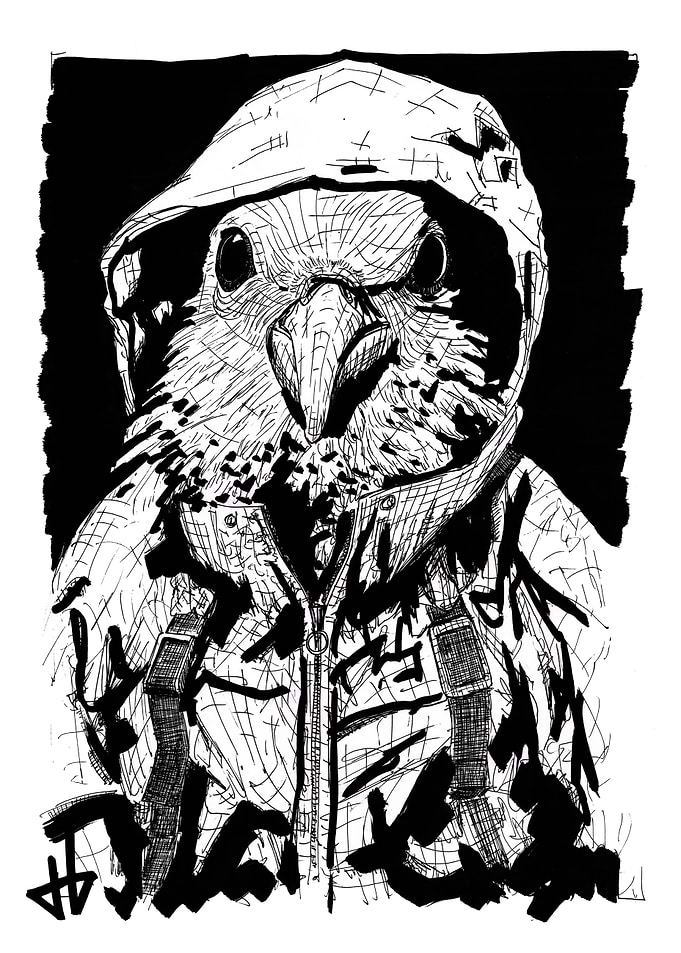 Pigeon in a Hoodie