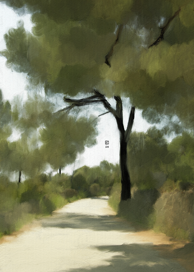 Tree-lined Path