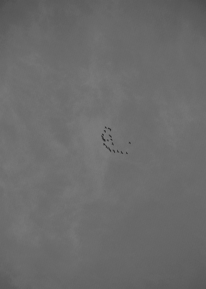 Birds in Flight