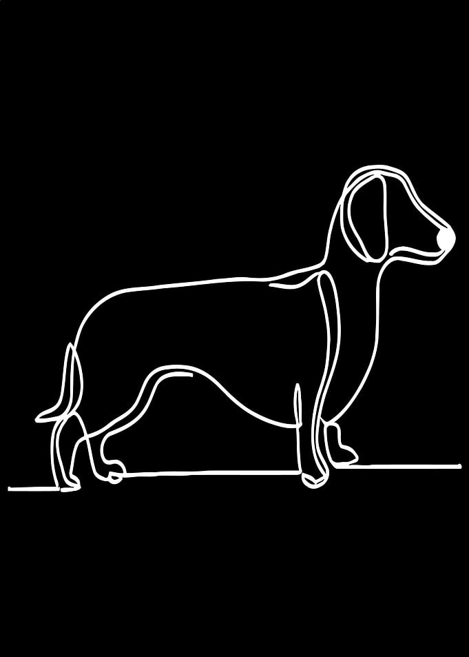 Dachshund Line Art