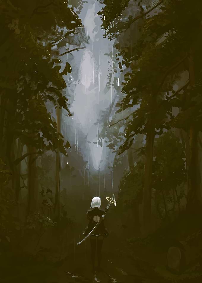 Forest Path