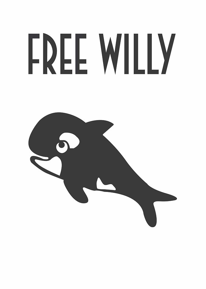 Free Willy Orca Silhouette