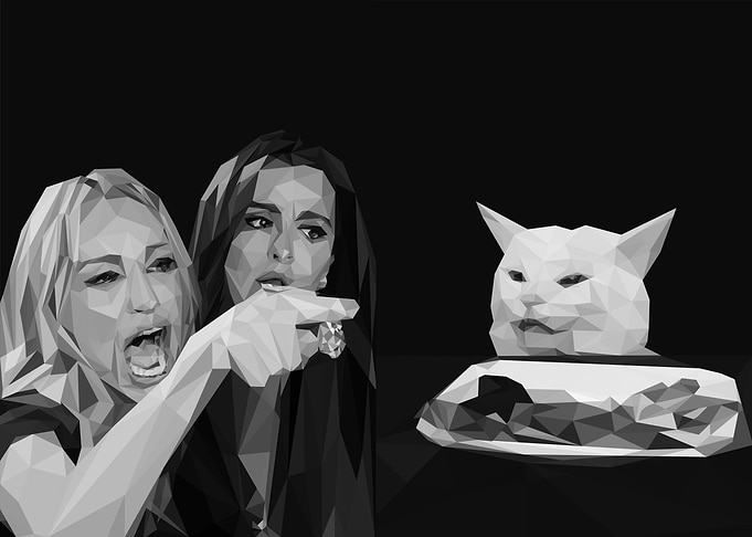 Woman Yelling at Cat Meme