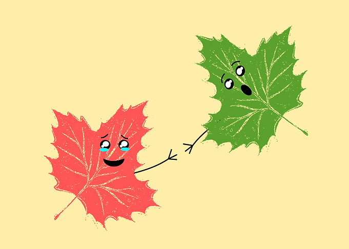 Autumn Fall
