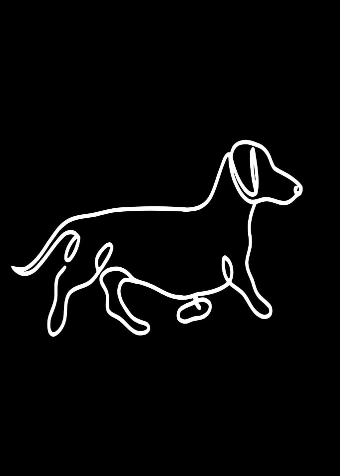 Dachshund Line Art
