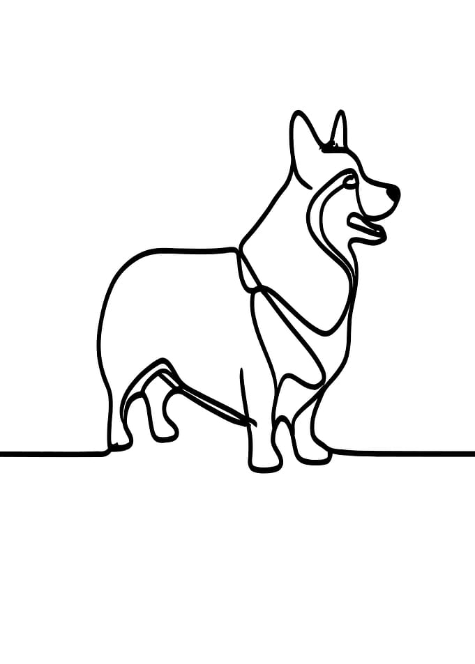 Corgi Line Art