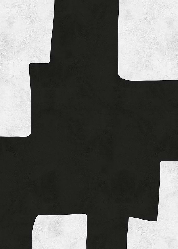 Abstract Black and White Art