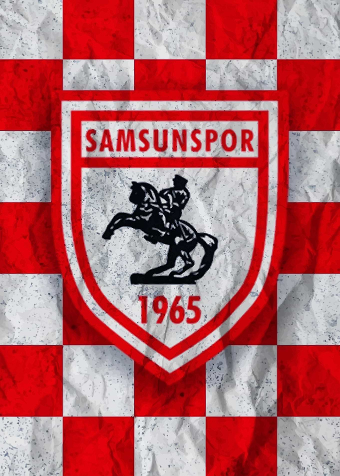 Samsunspor Football Club Logo