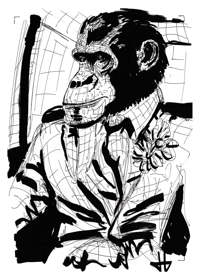Busy monkey