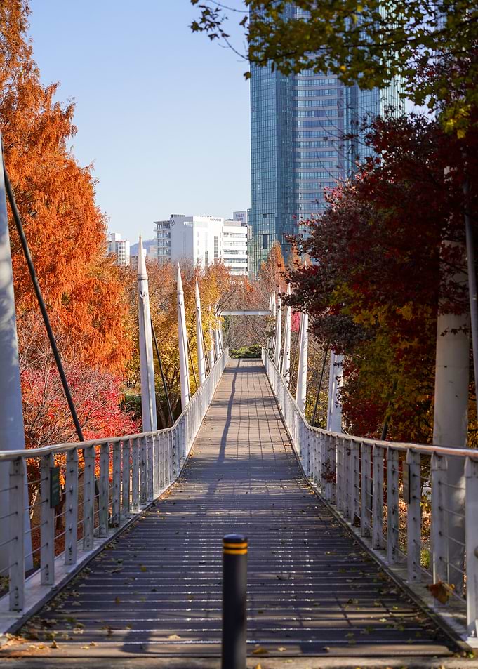 Autumn Bridge in Seoul