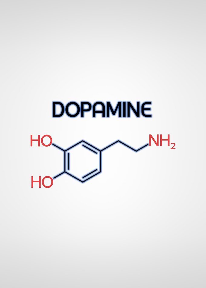Dopamine Hormone