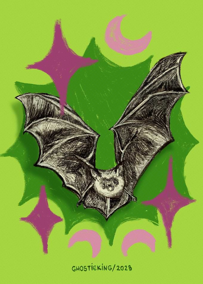 Bat with Stars and Moons