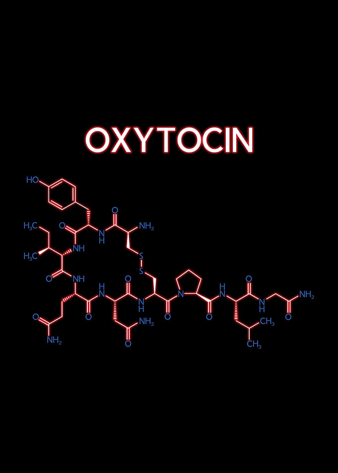 Oxytocin Hormone