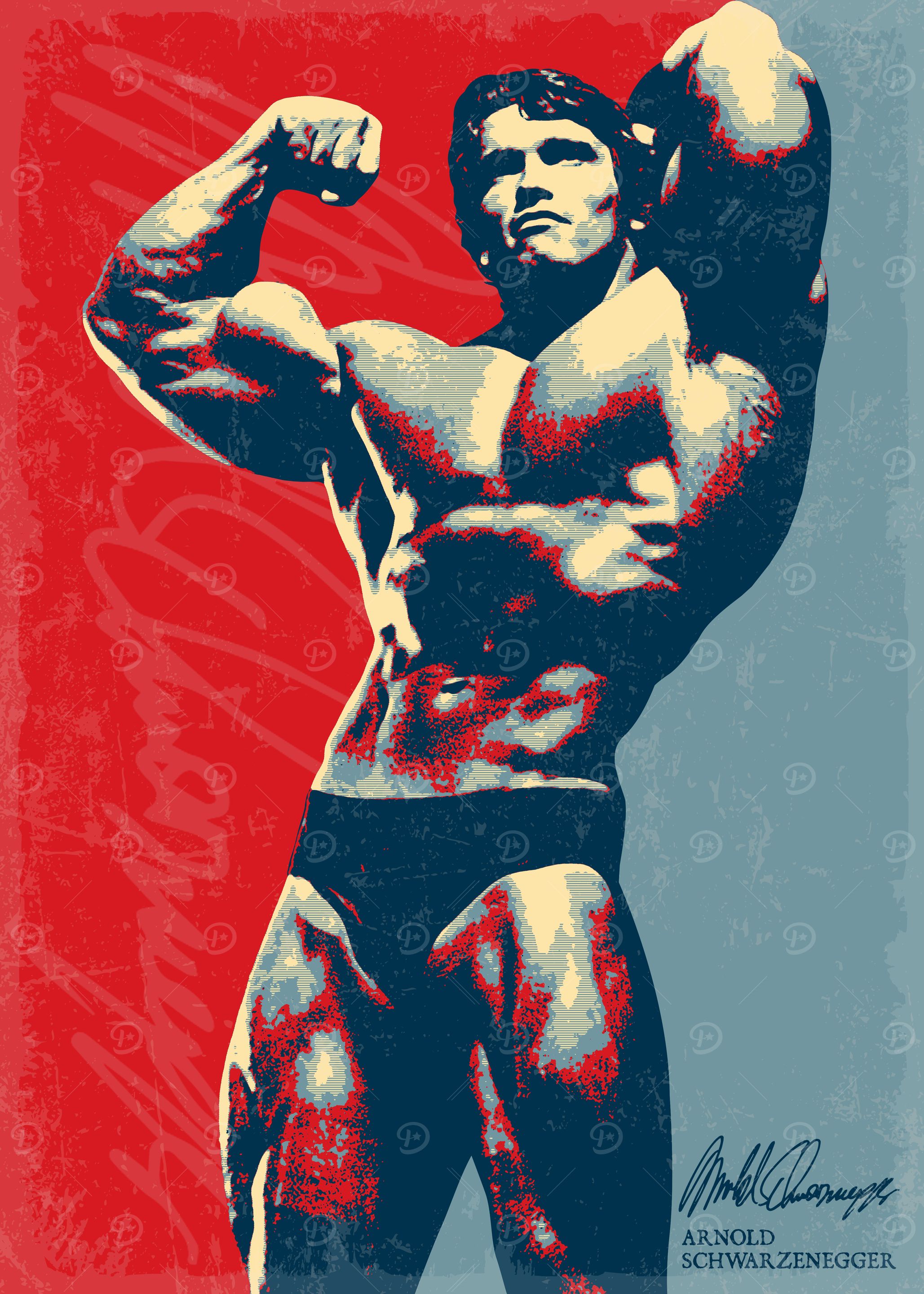 Arnold Schwarzenegger Poster