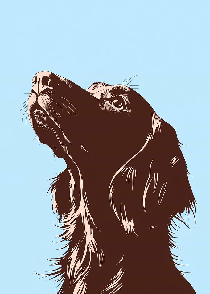 Dog Looking Up