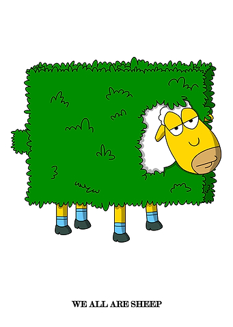 Sheep in Bush