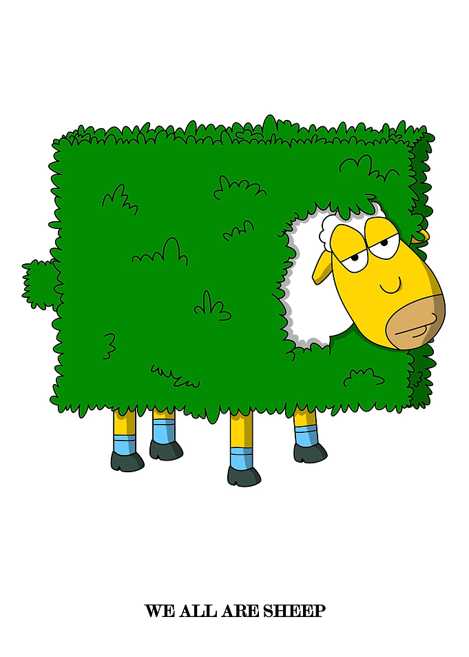 Sheep in Bush