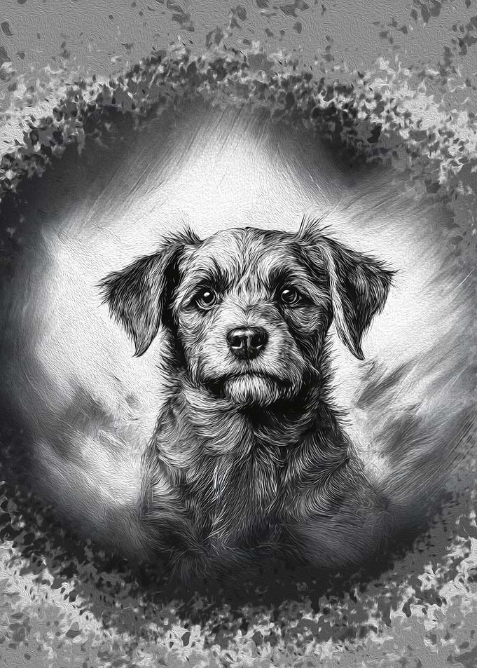 Puppy Portrait Charcoal Dog Portrait – Artistic Black and White Drawing