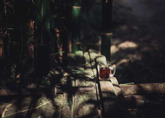 Tea in the Bamboo Forest