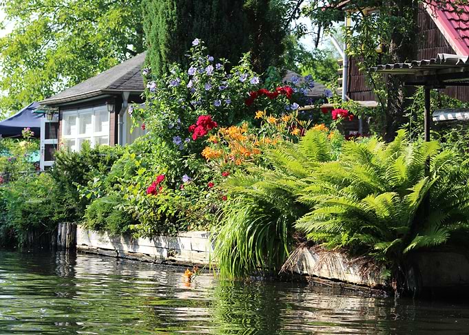 Waterfront Cottage Garden