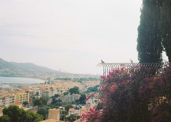 Coastal City View