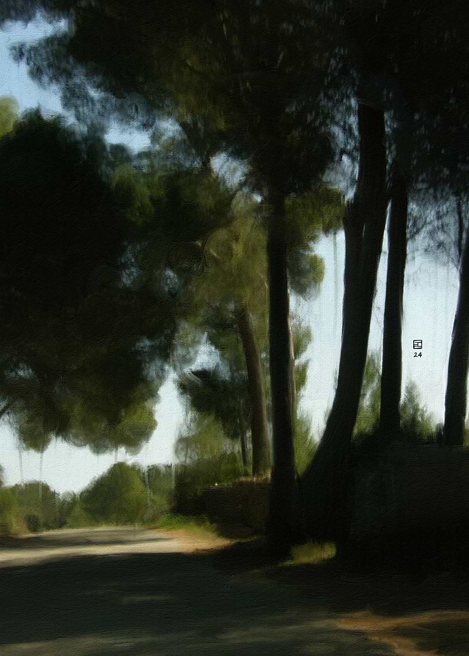 Forest Path
