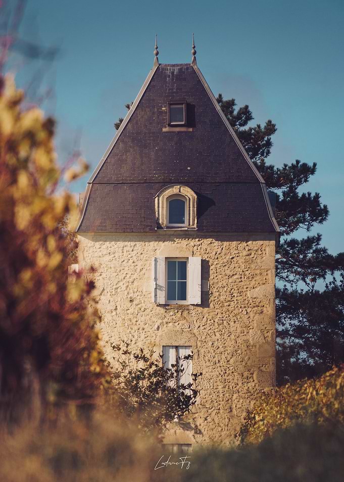 Stone Tower in Bordeaux vineyard