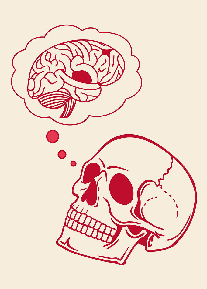 Skull Thinking of Brain