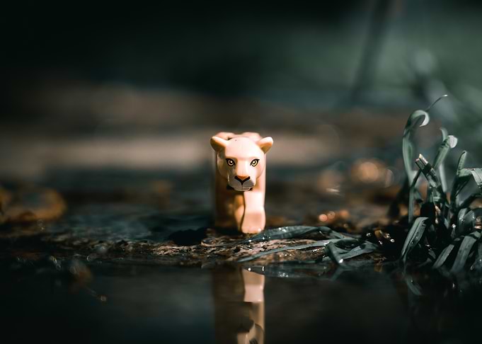 Lioness Figurine in Water