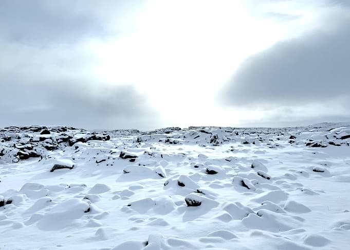 Snowy Landscape