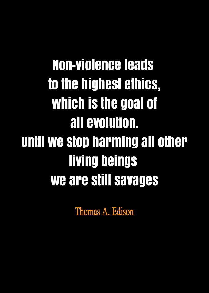 quote by Thomas Edison