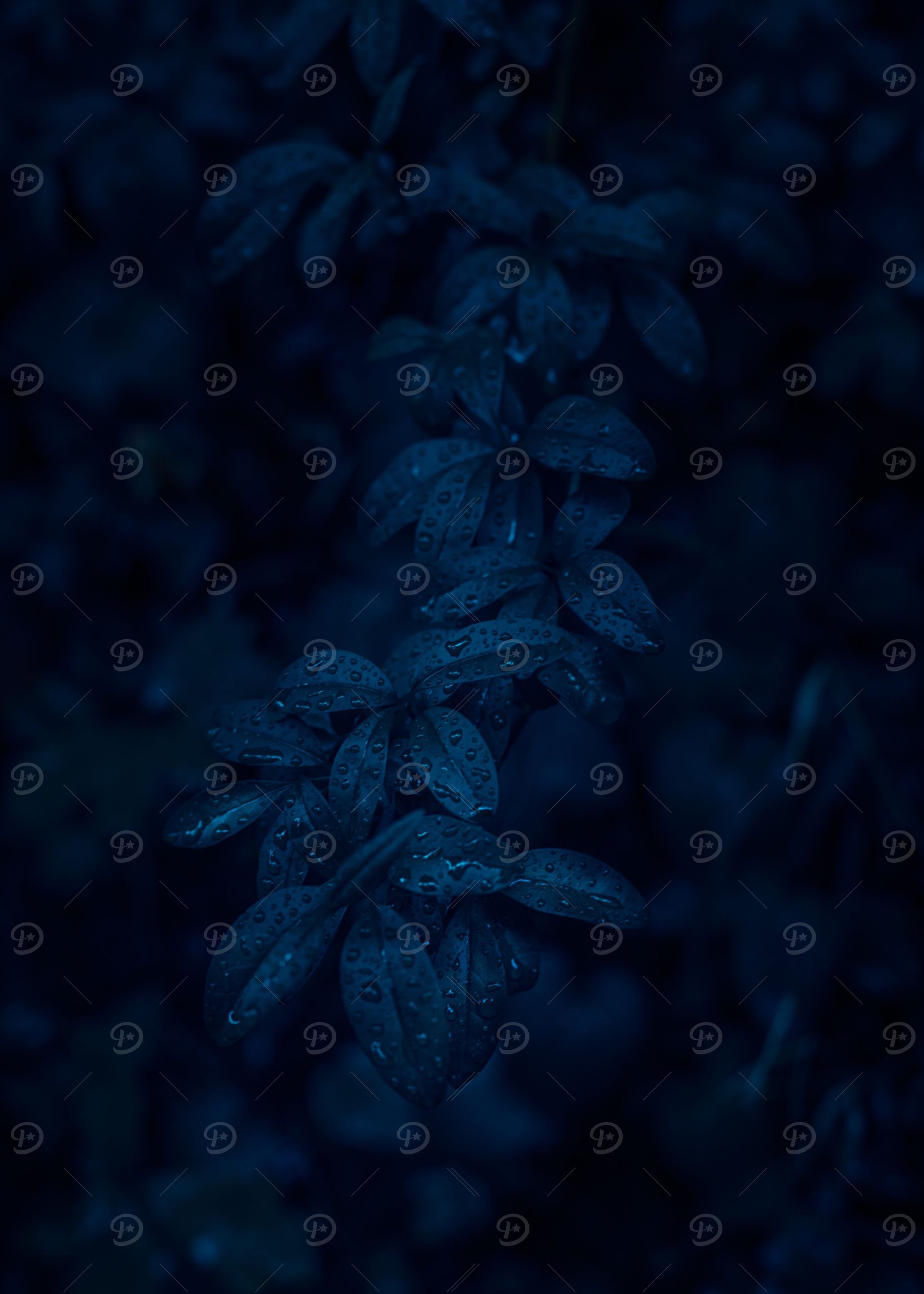 Dark Blue Leaves