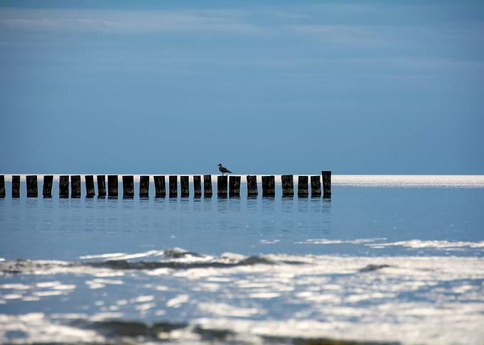 The Silence of the Sea