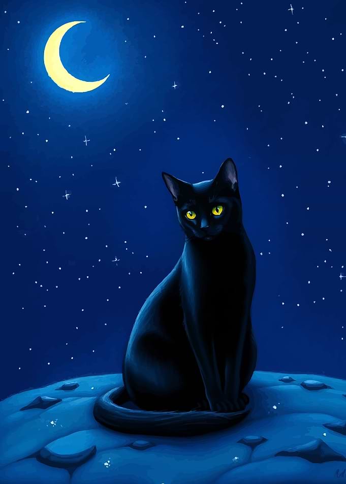 Black Cat Under the Moon