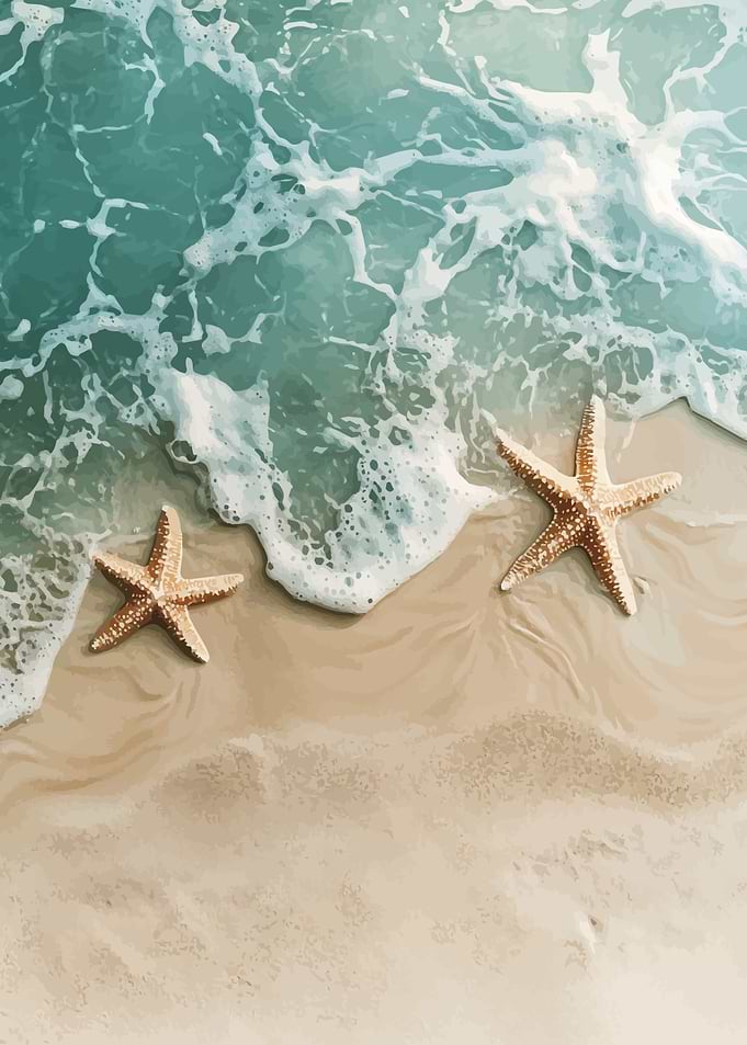 Starfish on Sandy Beach