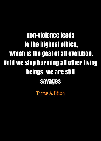 quote Thomas Edison