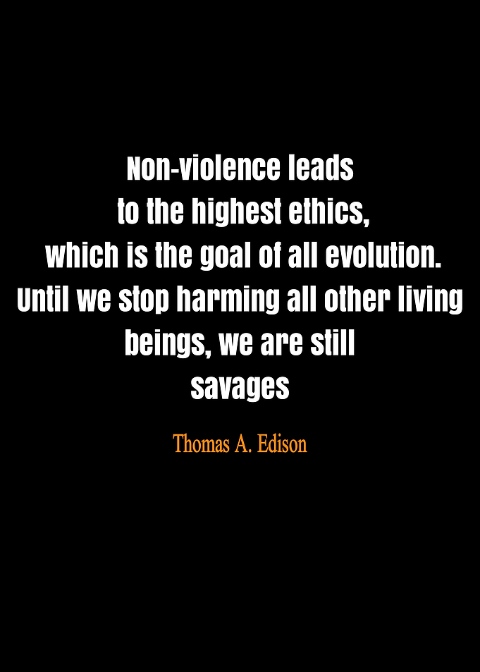 quote Thomas Edison