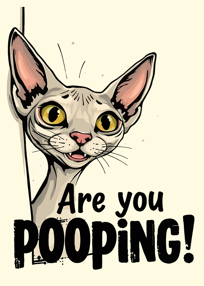 Sphynx Cat Meme