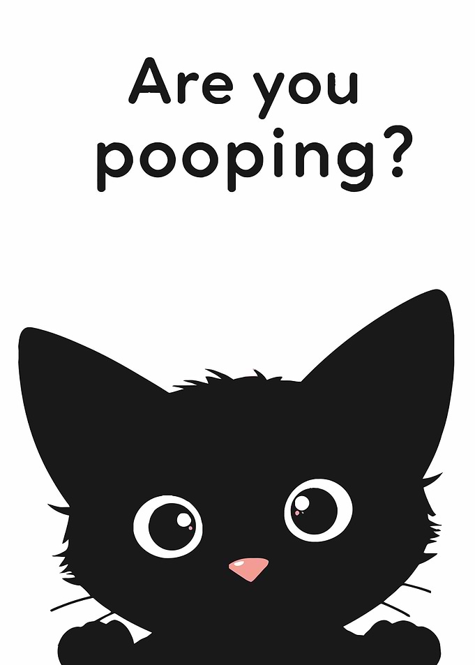 Funny Black Cat Meme