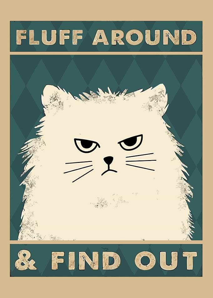 Fluffy Cat Poster