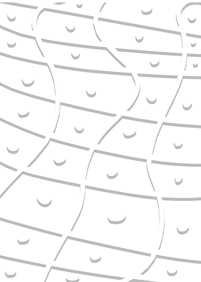 The White Dotted Labyrinth