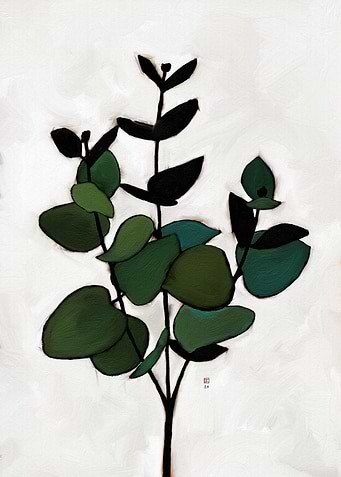 Green Eucalyptus Branch