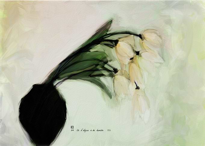 White Flowers in Vase