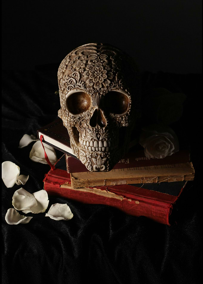 Gothic Bookish Girl Aesthetic Skull & Books