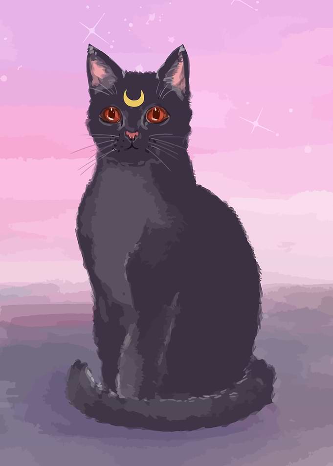 Black Cat with Crescent Moon