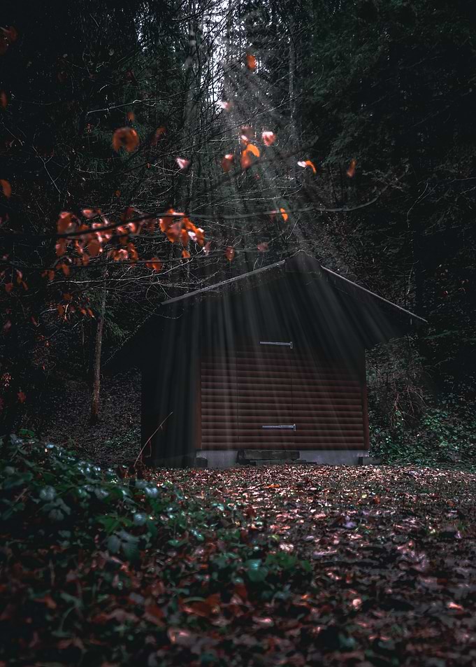 Cabin in the Woods